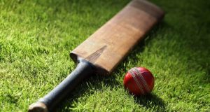 Cricket Betting