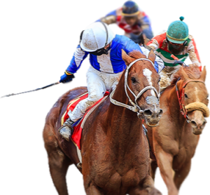 Horse Racing