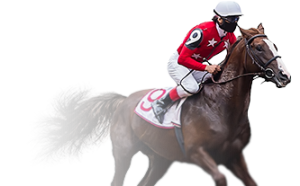 Live Horse Racing