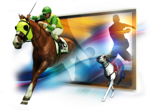 Virtual Horse Racing